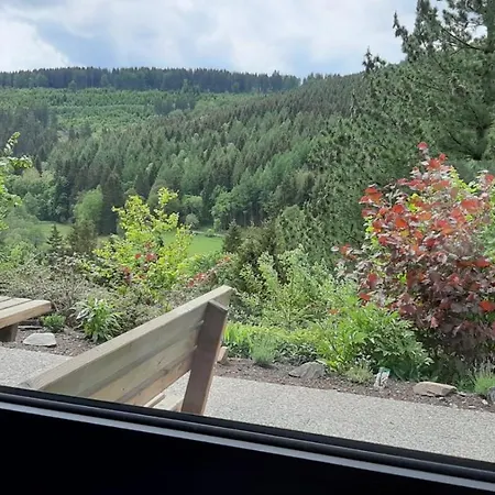 Waldblick