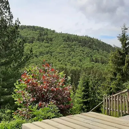 Waldblick Вінтерберг