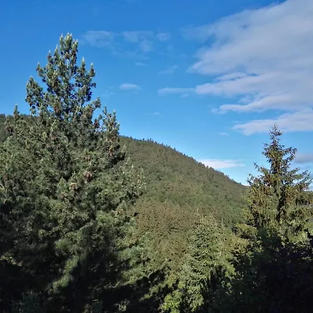 Waldblick Апартаменти Вінтерберг