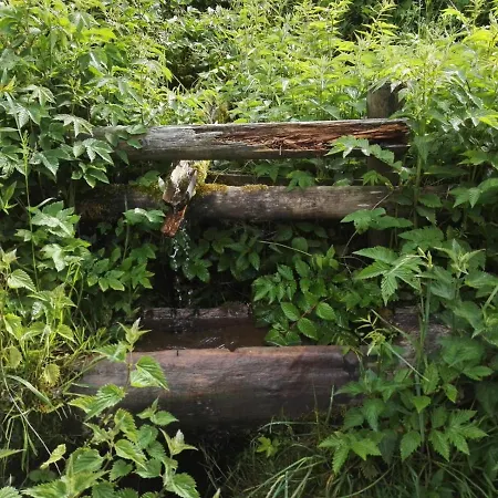 Waldblick Appartement Winterberg