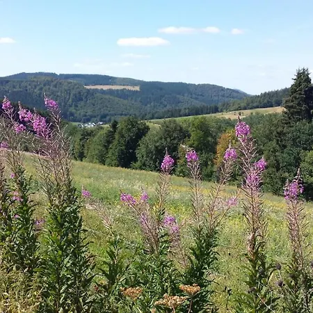Апартаменти Waldblick Вінтерберг