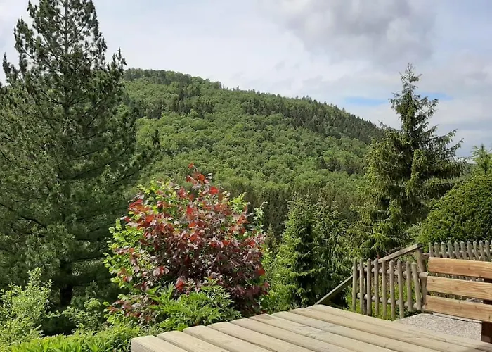 Waldblick Winterberg