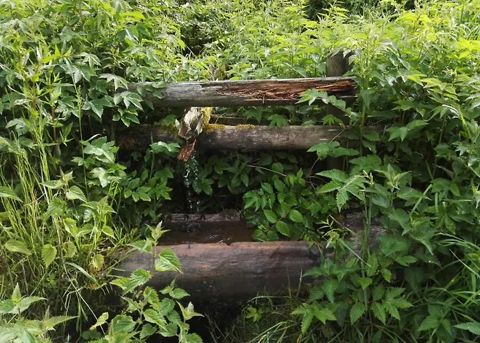 Waldblick Apartment Winterberg