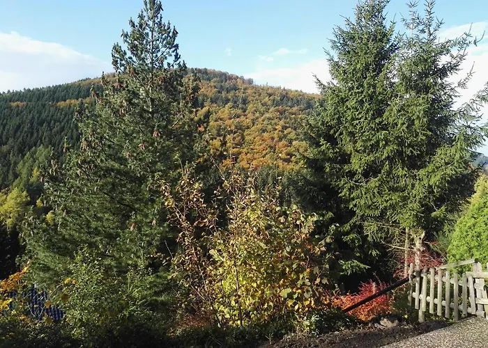 Waldblick * Winterberg